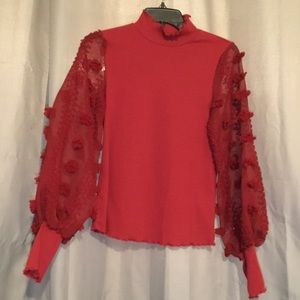 Ribbed mock top with sheer sleeves